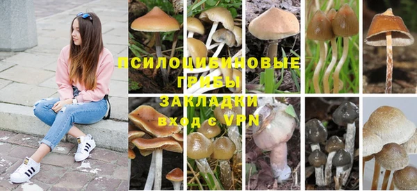 ешки Балахна