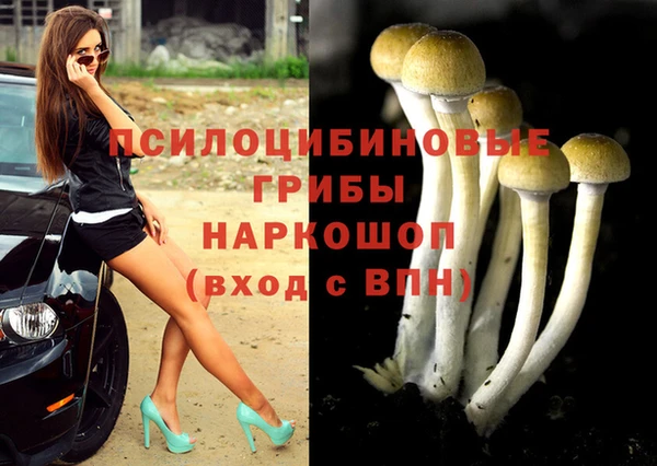 apvp Белокуриха
