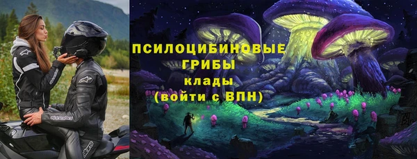 гидропоника Балабаново