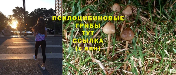 гидропоника Балабаново